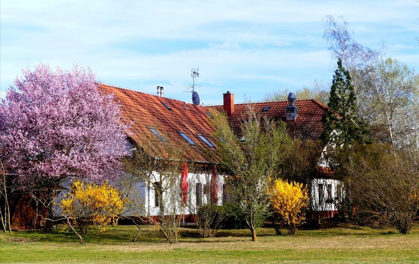 Kigyosi Csarda & Panzio Bed & Breakfast Fulopszallas ภายนอก รูปภาพ